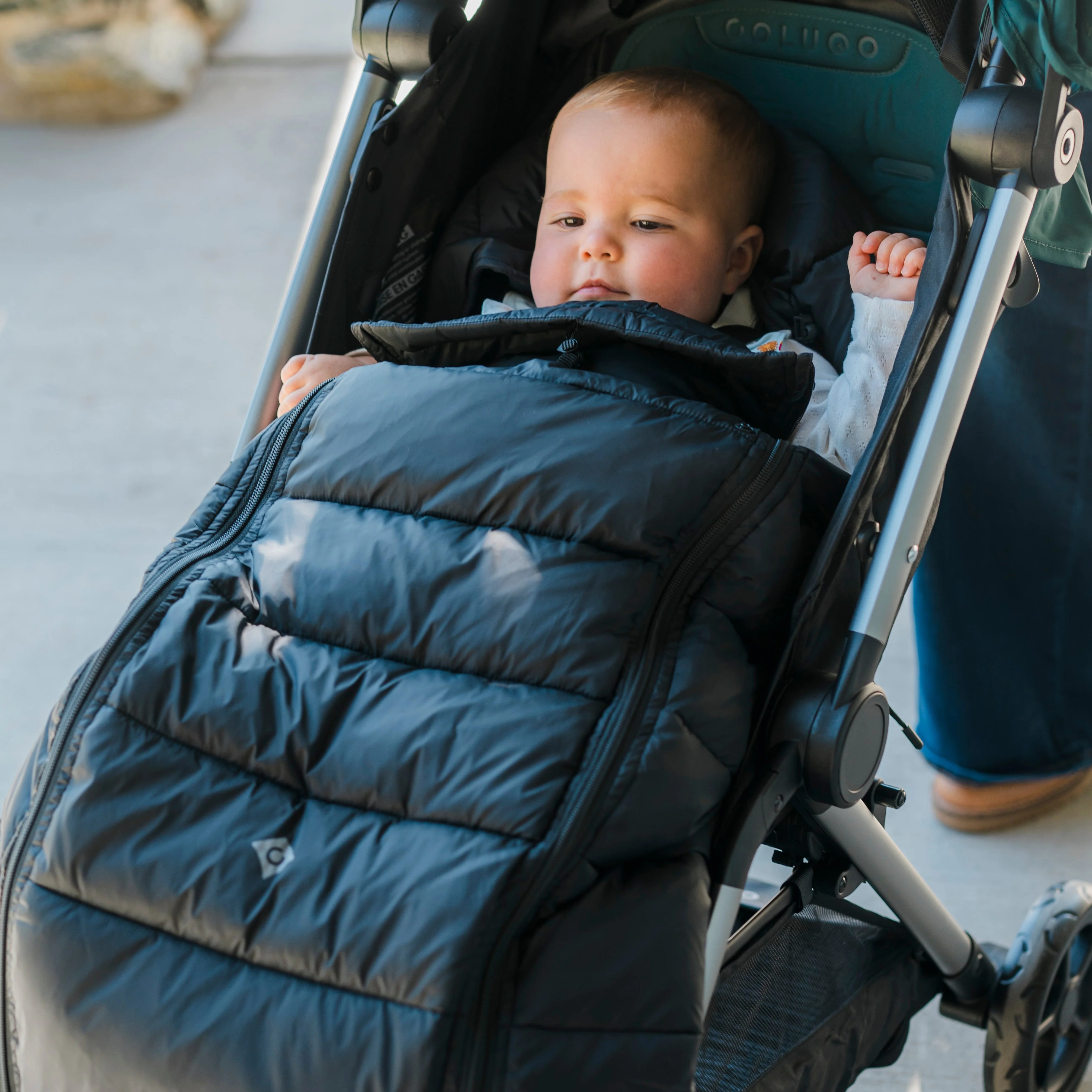 The Cozy, Wild Child - Image 6